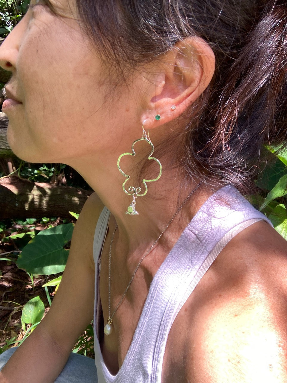 Apapane in the Clouds